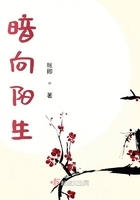 暗向陽生在線閱讀