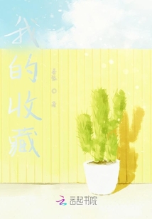 我的收藏