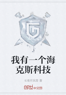 我有一個(gè)海克斯科技