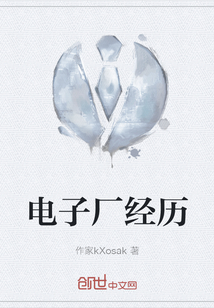 電子廠經(jīng)歷