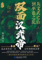 双面汉武帝:从文武之治到巫蛊之乱在线阅读