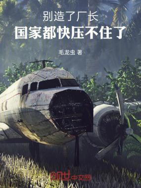 别造了厂长！国家都快压不住了在线阅读