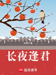 长夜逢君 封面