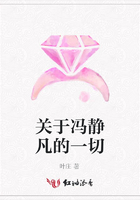 关于冯静凡的一切