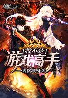 我不是游戲高手在線閱讀