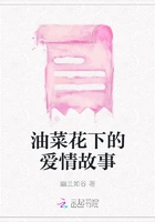油菜花下的爱情故事在线阅读