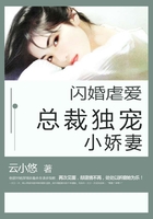 閃婚虐愛：總裁獨寵小嬌妻在線閱讀