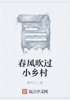 春风吹过小乡村在线阅读