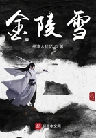 金陵雪在線閱讀