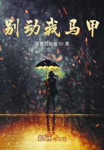别动我马甲