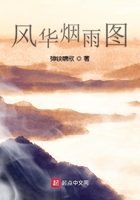 风华烟雨图在线阅读
