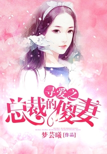 尋愛(ài)之總裁的傻妻