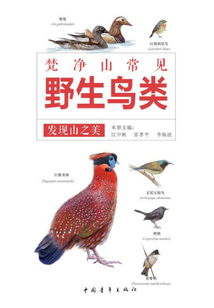 發現山之美：梵凈山常見野生鳥類
