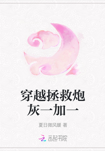 穿越拯救炮灰一加一