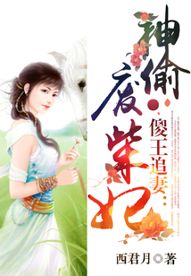 傻王追妻:神偷废柴妃