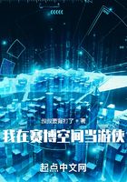 我在賽博空間當游俠在線閱讀
