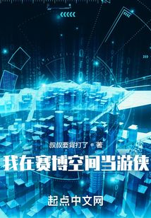 我在賽博空間當游俠