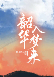 韶華入夢來
