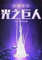 海贼里的光之巨人