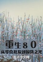 重生80:从零食批发到国货之光