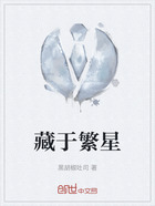 藏于繁星在线阅读
