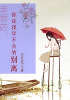 親愛的，你是我學不會的別離在線閱讀
