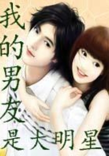 我的男友是大明星