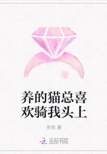 养的猫总喜欢骑我头上
