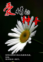 愛情的神圣在線閱讀