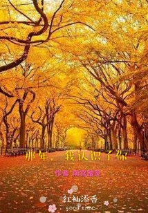 那年我認識了你