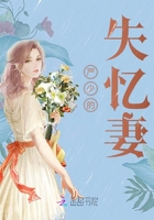 嚴少的失憶妻在線閱讀