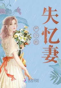 嚴少的失憶妻