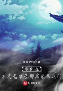 等你在木殼殼梁子那扇未來之門