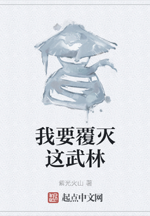 我要覆灭这武林