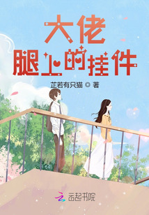 大佬腿上的掛件