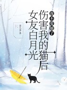 女友白月光伤害我的猫后,我不爱她了在线阅读
