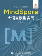 MindSpore大语言模型实战在线阅读