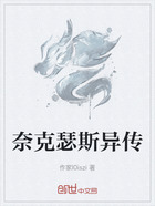 奈克瑟斯异传在线阅读