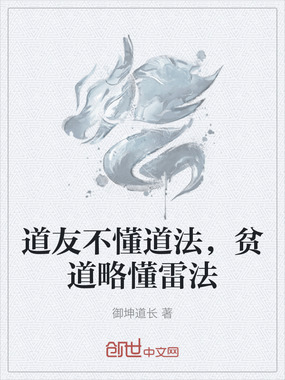 道友不懂道法，贫道略懂雷法在线阅读