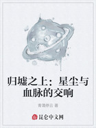 归墟之上:星尘与血脉的交响在线阅读