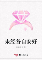 未經各自安好在線閱讀