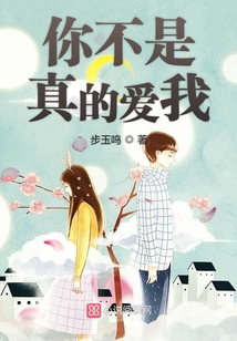 你不是真的愛我