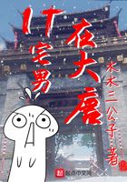 IT宅男在大唐在线阅读
