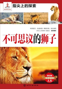 不可思議的獅子