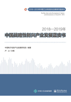 2018—2019年中国战略性新兴产业发展蓝皮书在线阅读