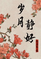 岁月静好在线阅读