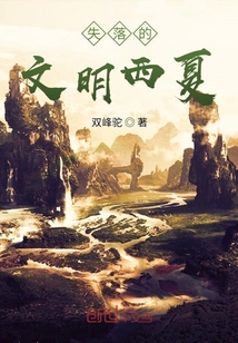 失落的文明西夏