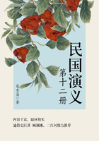 蔡东藩经典历史小说:民国演义(12)在线阅读