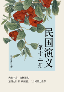 蔡东藩经典历史小说:民国演义(12)