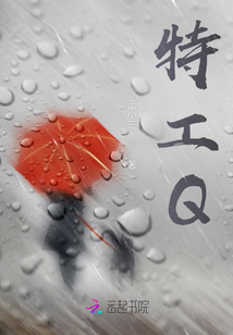 特工Q